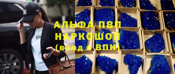 индика Кодинск